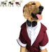 Lovelonglong Formal Dog Suit Tuxedo with Black Bow Tie for Large Medium Small Dogs Cats, Wedding Clothes, Reddish Brown