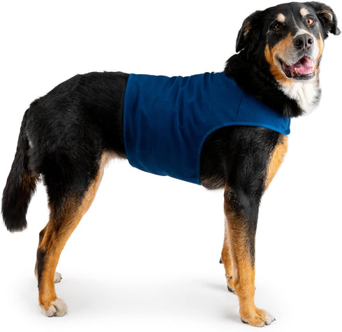 Dog Anxiety Wrap, X-Large Size