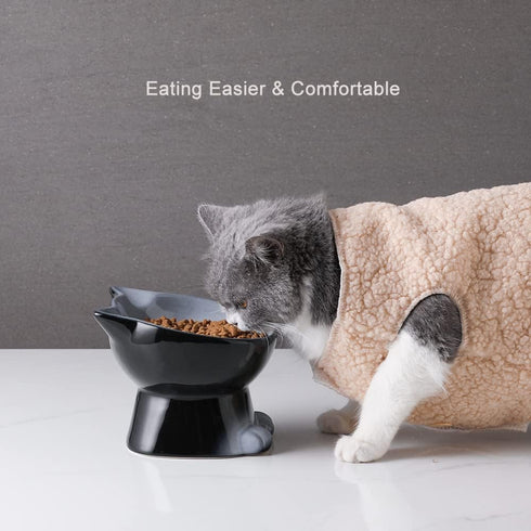 Nihow Elevated Cat/Dog Bowls: 6.25 Inch Ceramic Raised Food & Water Bowl Set for Small Dogs and Cats - Elegant Gray