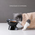 Nihow Elevated Cat/Dog Bowls: 6.25 Inch Ceramic Raised Food & Water Bowl Set for Small Dogs and Cats - Elegant Gray