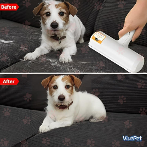 Pet Grooming Set, Washable Hair Remover Tool, Shedding Control & Comfortable Massage Glove for Dogs and Cats