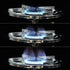 Lightweight Outdoor Propane Stove for Camping, RV Travel, Outdoor Cooking