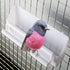 2 Pack Hanging Bird Water Dispenser for Cage, Food Feeder with 1 Feeder Accessories