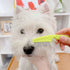 Flea Comb Lice Comb - 2-in-1 Pet Grooming Combs for Dogs and Cats, Tear Stain Remover, Green