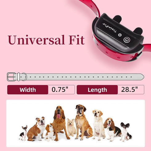 Replacement Collar Strap Bands, 27 1/2 X 3/4” with Double Buckle Loop for Pet Shock Bark Collars and Fences