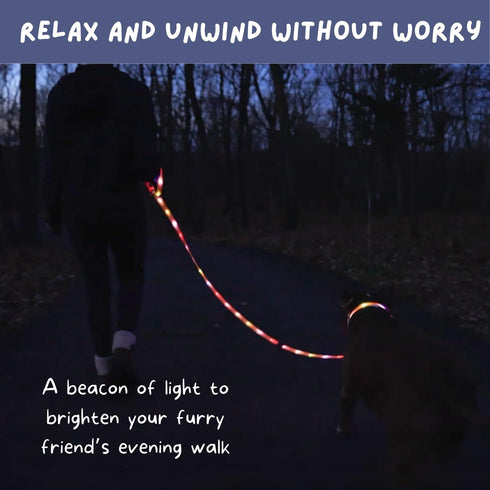 LED Dog Leash for Safe Evening Walks, High Visibility Light Up Leash, 6 Foot New Version for Dogs
