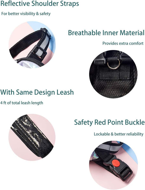 Dog Backpack Harness with Leash | Adjustable Dog Pack with Reflective Strips for Night Safe Outdoor Travel | Small