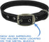 Max and Neo MAX Reflective Dog Collar - Medium, Purple - We Donate a Collar to Dog Rescue for Every Collar Sold