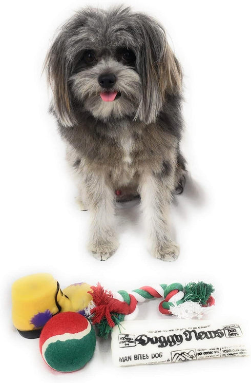 Christmas Stocking for Dogs with Squeaky Newspaper Toy, Boot Toy, Tennis Ball, and Knotted Rope