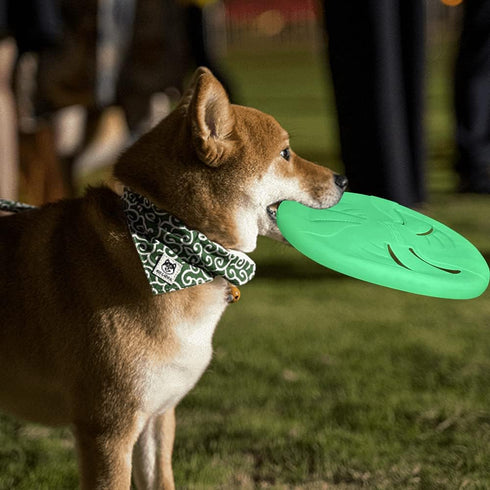 Glow-in-The-Dark Dog Flying Discs - Interactive Soft Lightweight Catch and Fetch Toys for Medium Large Dogs