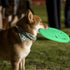 Glow-in-The-Dark Dog Flying Discs - Interactive Soft Lightweight Catch and Fetch Toys for Medium Large Dogs