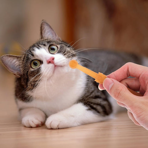 Set TOYANDONA Pet Toothbrush Soft Silicone Dual-Headed Toothbrush for Cats and Small Dogs Puppy Tooth Brushing Kit