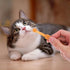 Set TOYANDONA Pet Toothbrush Soft Silicone Dual-Headed Toothbrush for Cats and Small Dogs Puppy Tooth Brushing Kit