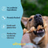 (12 Pack) 6 Inch hotspot pets Curly Spring Bully Sticks for Dogs - Premium All Natural Long Twisted Beef Pizzle Dog