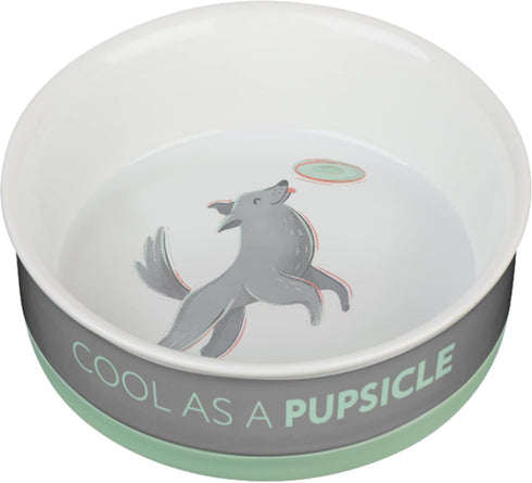 Ceramic Dog Bowl for Food and Water, Non-slip Anti-skid Silicone Base, Dishwasher/Microwave Safe, Medium White/Gray