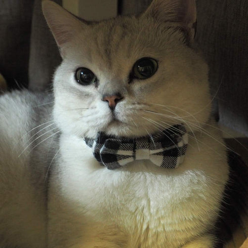 Cat Collars Breakaway with Bell and Bow Tie, Adjustable Safety Plaid Design for Kittens (6.8-10.8in) - Black Plaid