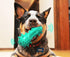 Carllg Puppy Teething Chew Toys - Indestructible Tough Dog Toothbrush Toys for All Breeds