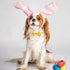 PET SHOW 10pcs Easter Day Small Dog Bow Ties for Medium Dogs, Detachable Bowties with Elastic Bands for Collars
