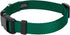 Country Brook Petz Dog Collar, American-Made, Medium, 3/4 Inch Wide, Deluxe Heavy Duty Nylon, Green
