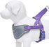 Blueberry Pet Purple Dog Harness, Medium Size, Reflective Nylon Vest, Adjustable for Small Dogs