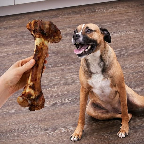 FYNORI (Pack 3) 1 Count, 14.38 Oz, of Natural Jumbo Pork Femur Chew for Dogs, Naturally Smoked, Long-Lasting Chewing