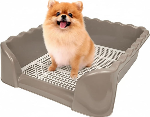 Lutema Indoor/Outdoor Training Dog Potty Tray for Small and Medium Puppies Litter