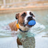 Dog Squeaky Balls, Indestructible Toys for Aggressive Chewers, Durable Natural Rubber, Large/Medium Breed, Blue