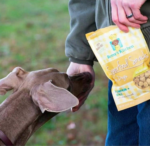 Freeze Dried Superfood Snacks for Dogs, Pumpkin + Kale, All Natural Dog Treat