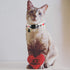 BoomBone 2 Pack Valentines Cat Collar, Breakaway Safety Adjustable Collars with Bell for Kitten