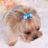 YOY 24 pcs/12 Pairs Adorable Grosgrain Ribbon Pet Dog Hair Bows with Elastic Bands - Grooming Accessories Set