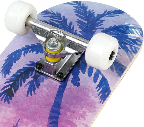 Wilver Complete Skateboards, 31 inches for Beginners, Teens, Girls, Boys, Kids, Adults, Maple Wood