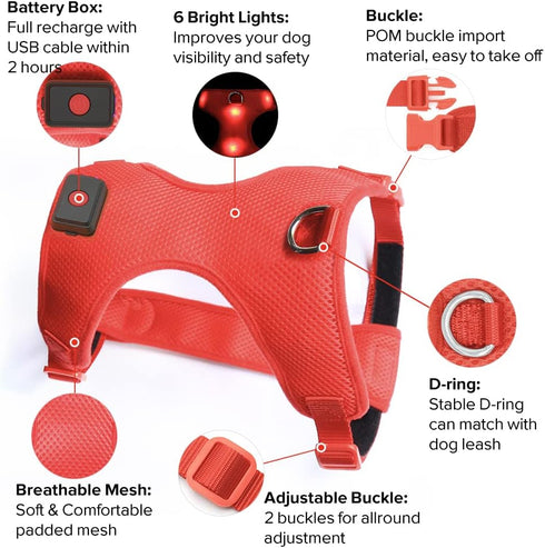 Light Up Dog Harness - Rechargeable LED Vest, No-Pull Glowing Safety Pet Harness for Night Walking & Camping (Red,