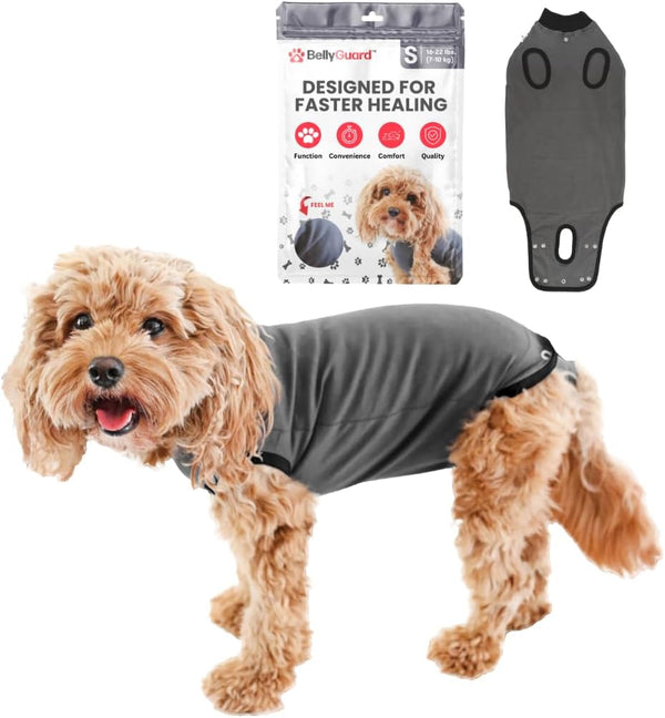 BellyGuard Recovery Suit for Dogs, Comfy Post-Op Care Onesie for Female Spay and Male Neuter Surgery