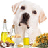 The Blissful Dog Paw Butter, 4 oz. Moisturizer for Dry Paw Pads, Softens & Protects Rough Paws