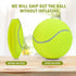 Pomeat 2 PCS Giant Tennis Balls for Dogs, 9.5" Inflatable Non-Toxic Chew Toy with Pump & Needle