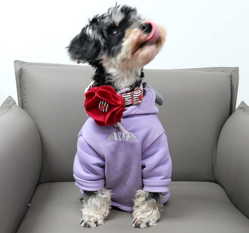 Lionet Paws Valentine's Day Dog Collar with Felt Flower, Adjustable Comfortable Collar for XL Dogs, Neck 16-26 in