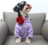 Lionet Paws Valentine's Day Dog Collar with Felt Flower, Adjustable Comfortable Collar for XL Dogs, Neck 16-26 in