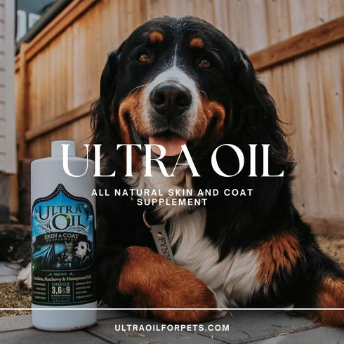 32oz Ultra Oil Dog & Cat Supplement with Hemp, Flaxseed & Fish Oils - - For Dry Skin, Dull Coat, Hot Spots, Dandruff