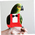 6pcs BESPORTBLE Washable Bird Diaper Suit Bowtie for Parrots Reusable Pet Diaper for Cockatiels Conures Soft