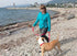 RC Pets 3/4" x 6 ft Primary Collection Dog Leash, Red