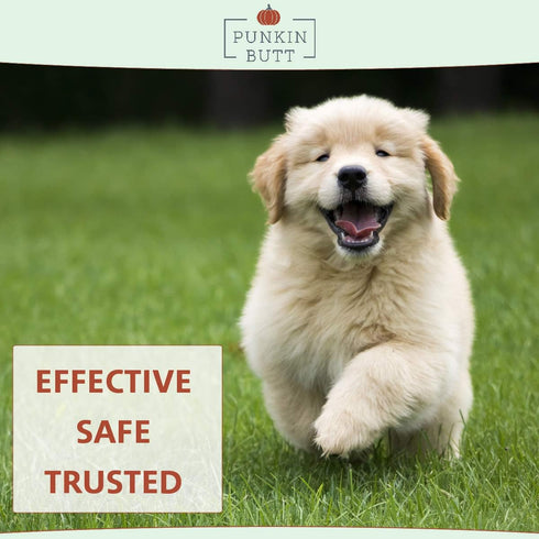 Punkin Butt Puppy Teething Oil to Stop Chewing and Relieve Discomfort | All Natural, 2 oz