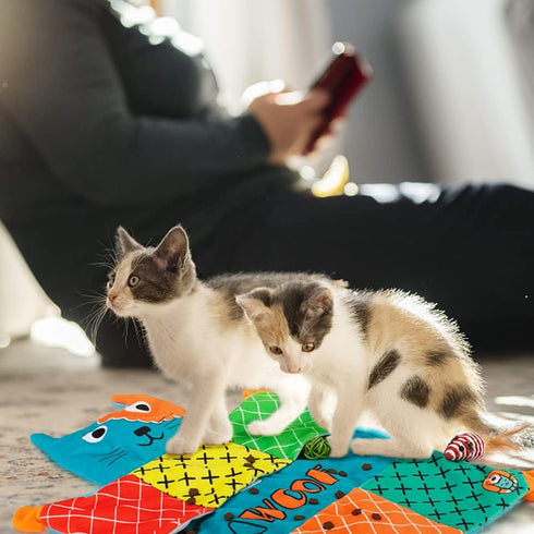 AWOOF Interactive Catnip Mat - Soft and Fun Cat Toy for Indoor Cats