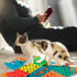 AWOOF Interactive Catnip Mat - Soft and Fun Cat Toy for Indoor Cats