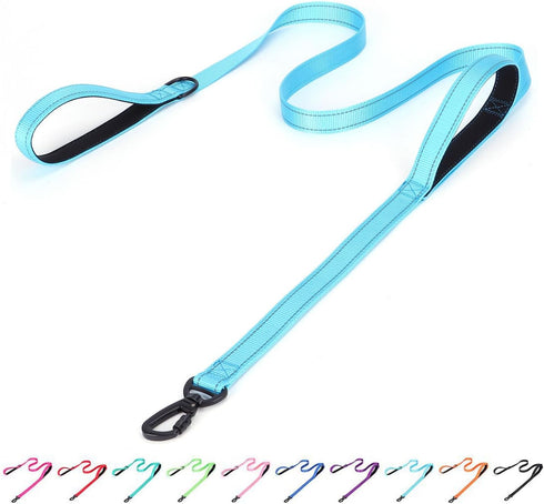 Reflective Nylon Dog Leash - Heavy Duty Hero Leash with Two Handles for Night Safety Training, 6FT×1'' Light Blue