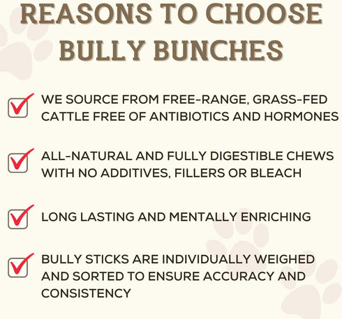 Bully Bunches Premium 6 Inch Thick Odor-Free Bully Sticks for Small & Medium Dogs, Long Lasting Chews for Oral Care, 10