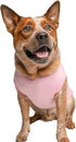 423 It's A Girl Dog Tee Shirt | Sleeveless Breeds | Gender Reveal | Baby Announcement | Boy or Girl |Light Pink, Large