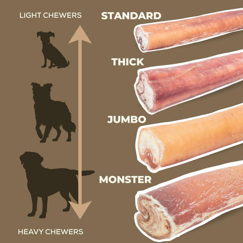 6 Inch 100% (5 Pack) Bully Bunches Premium Standard Odor-Free Bully Sticks for Small to Medium Dogs & Puppies