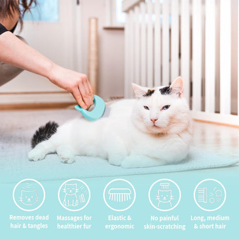 Leo's Paw The Original Soft Deshedding Brush, Massaging Shell Comb for Grooming Long and Short Hair Cat Dog Bunny (Mint)