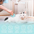 Leo's Paw The Original Soft Deshedding Brush, Massaging Shell Comb for Grooming Long and Short Hair Cat Dog Bunny (Mint)