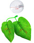 2Pack Beta Leaf Bed Fish Resting Leaf Betta Hammock for Aquarium Plants and Betta Fish Accessories